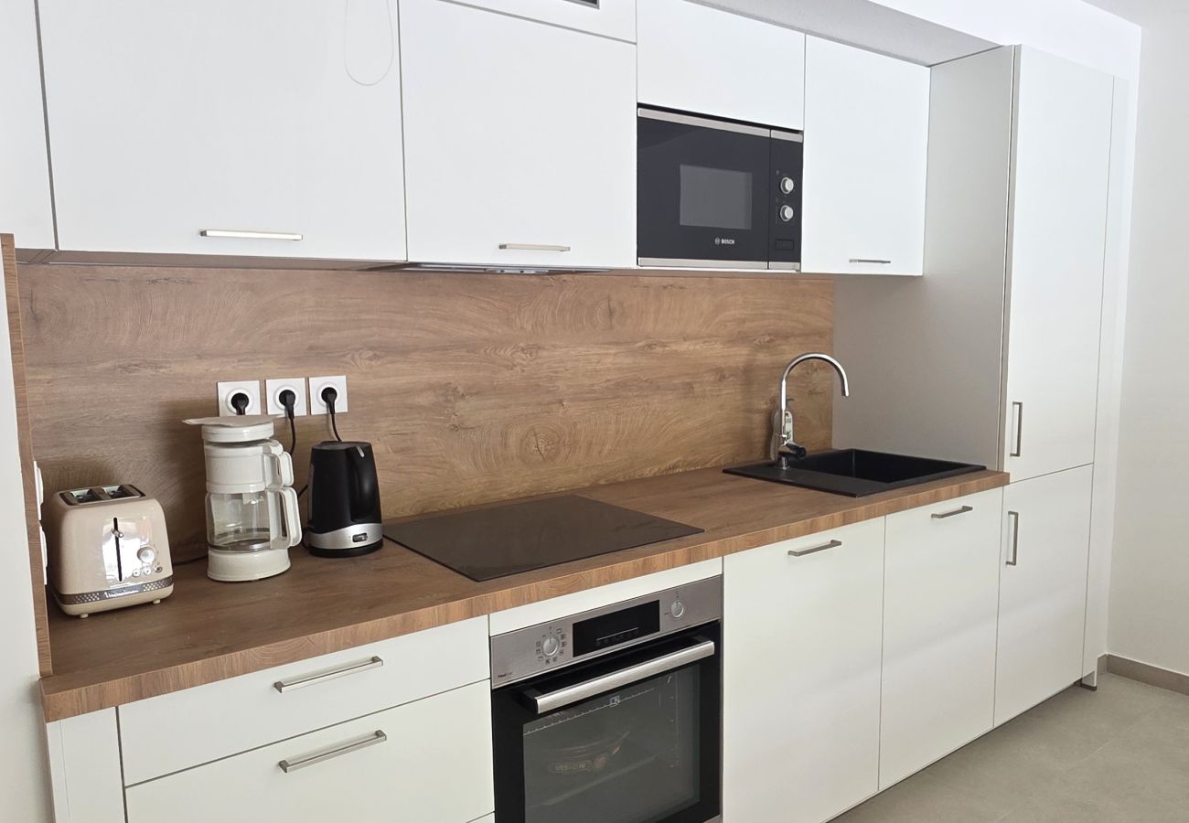 Apartment in Briançon - New T3 for 4 people