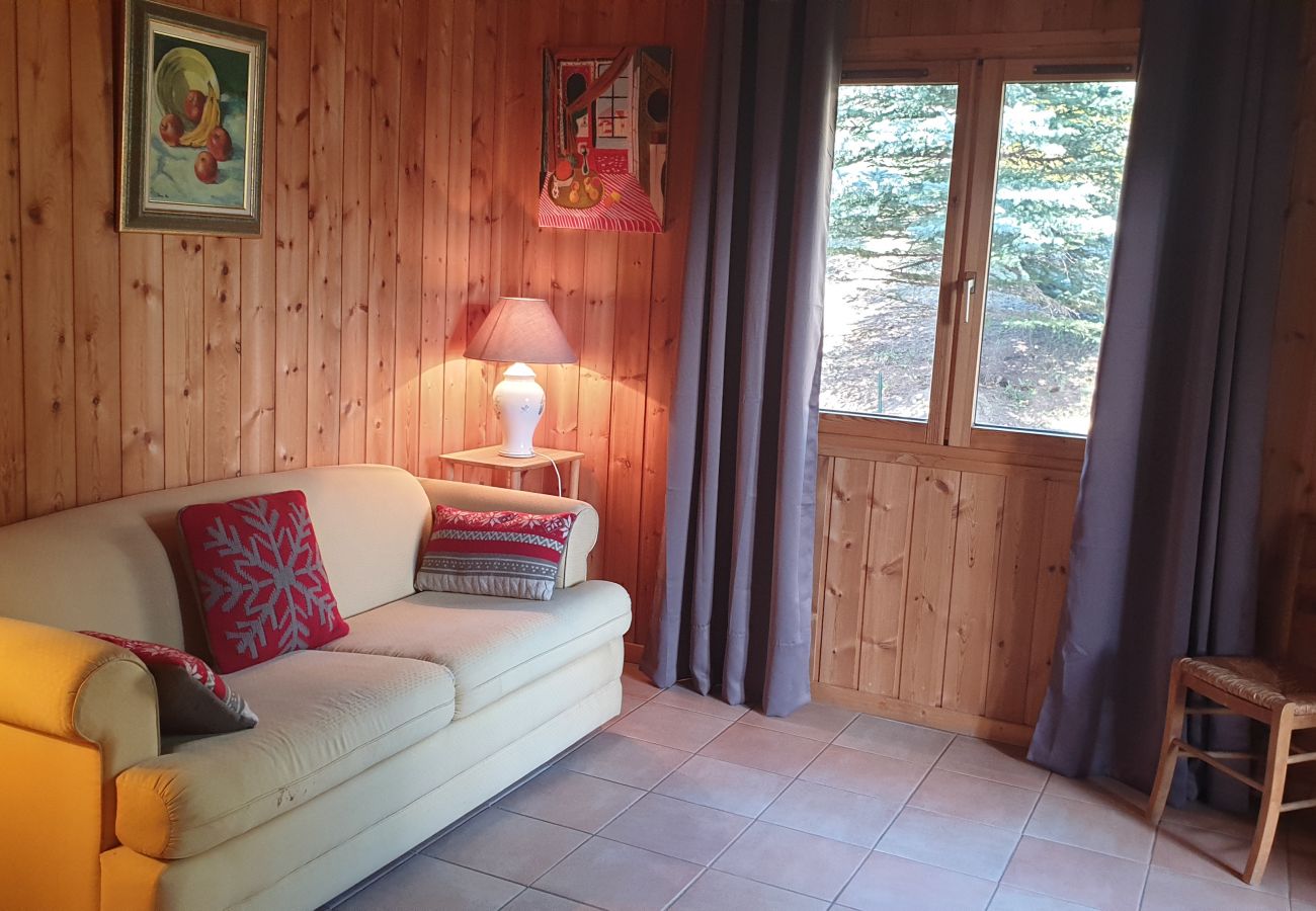 Chalet à Saint-Chaffrey - CHALET CONFORTABLE POUR 8 PERSONNES