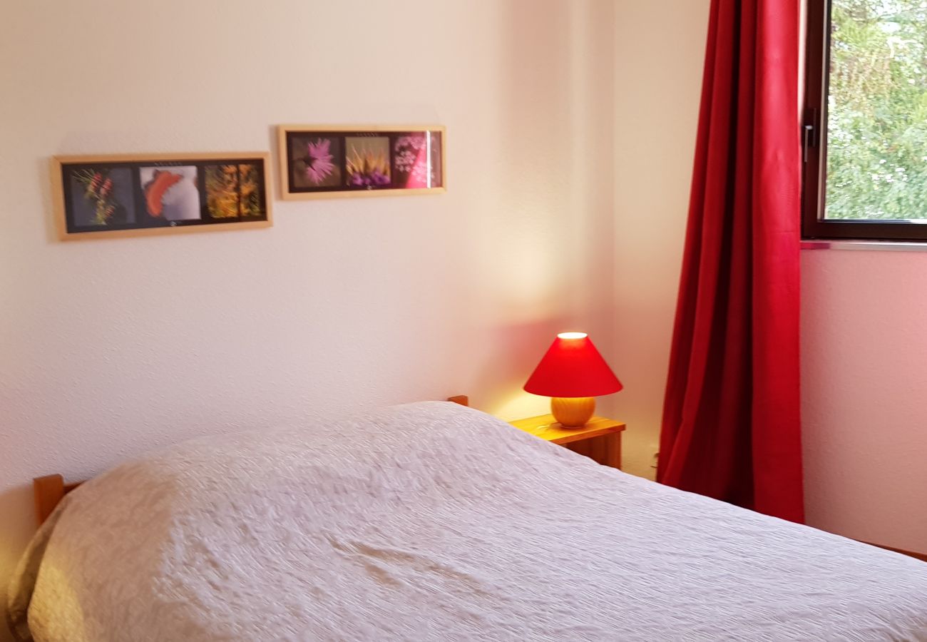 Appartement à Saint-Chaffrey - Chaleureux T3 exposé plein sud - 4/6 personnes 